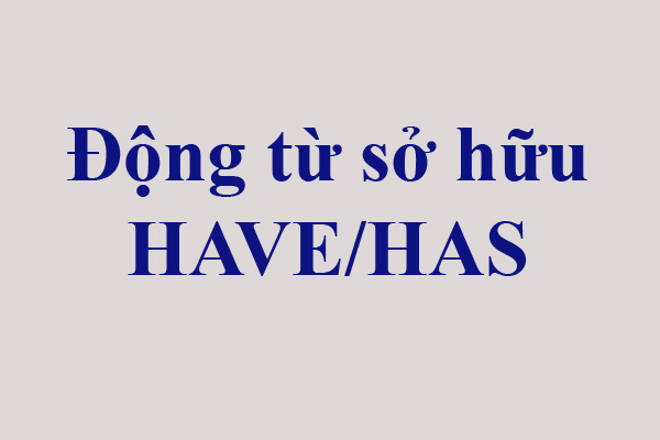 Read more about the article Cách dùng động từ sở hữu Have/Has