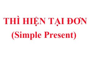 Read more about the article Thì hiện tại đơn (Simple Present): công thức, cách dùng